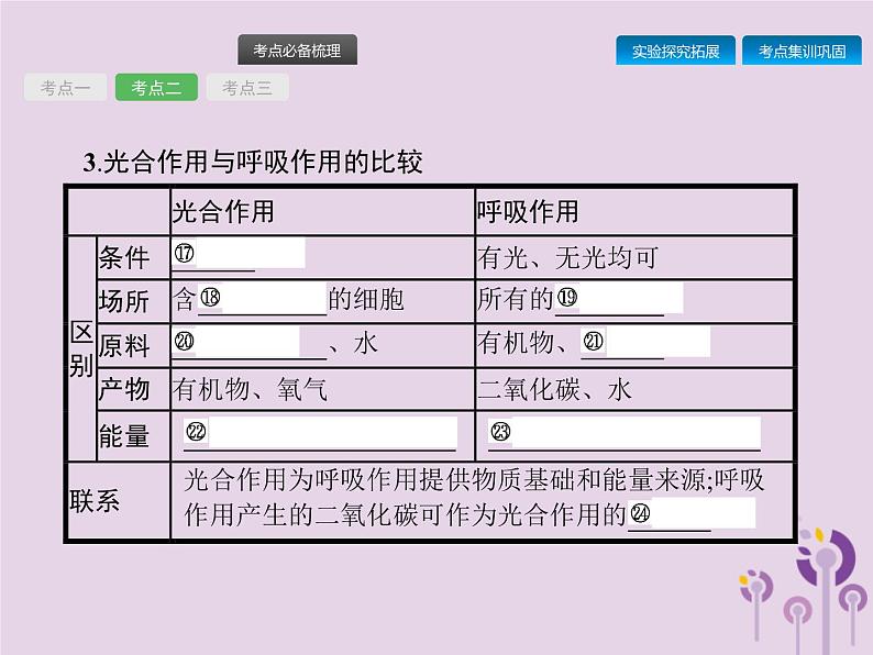 初中生物中考复习 课标通用中考生物总复习第二单元生物体的结构层次第八讲生物圈中的碳_氧平衡课件06