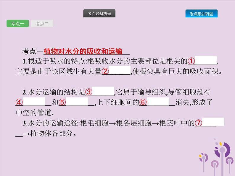 初中生物中考复习 课标通用中考生物总复习第二单元生物体的结构层次第七讲绿色植物与生物圈的水循环课件第2页