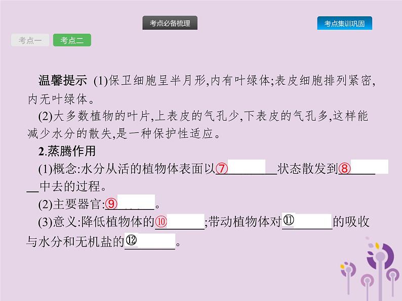 初中生物中考复习 课标通用中考生物总复习第二单元生物体的结构层次第七讲绿色植物与生物圈的水循环课件第4页