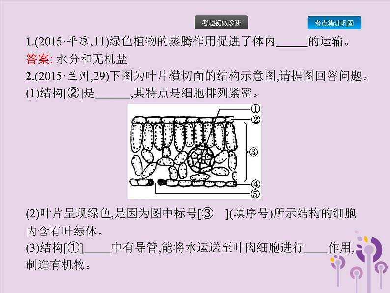 初中生物中考复习 课标通用中考生物总复习第二单元生物体的结构层次第七讲绿色植物与生物圈的水循环课件第6页