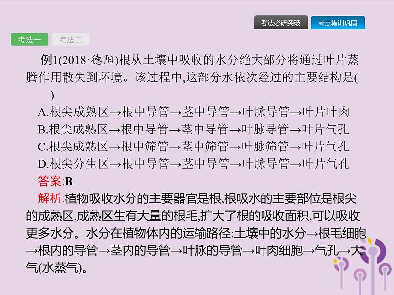 初中生物中考复习 课标通用中考生物总复习第二单元生物体的结构层次第七讲绿色植物与生物圈的水循环课件第8页