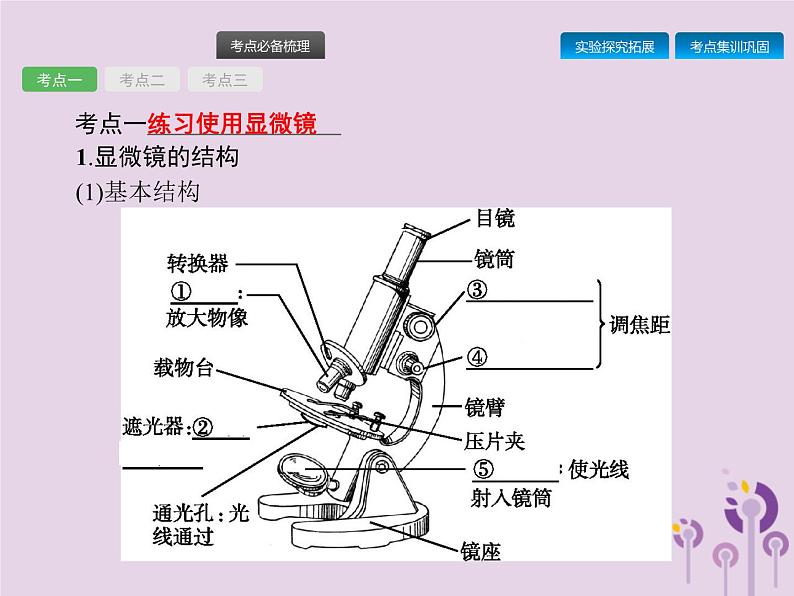 初中生物中考复习 课标通用中考生物总复习第二单元生物体的结构层次第三讲细胞是生命活动的基本单位课件第3页