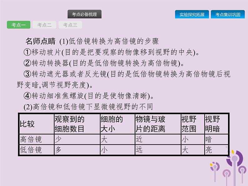 初中生物中考复习 课标通用中考生物总复习第二单元生物体的结构层次第三讲细胞是生命活动的基本单位课件第8页