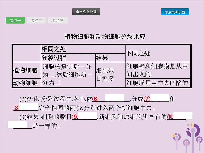 初中生物中考复习 课标通用中考生物总复习第二单元生物体的结构层次第四讲细胞怎样构成生物体课件第3页