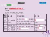 初中生物中考复习 课标通用中考生物总复习第二单元生物体的结构层次第四讲细胞怎样构成生物体课件