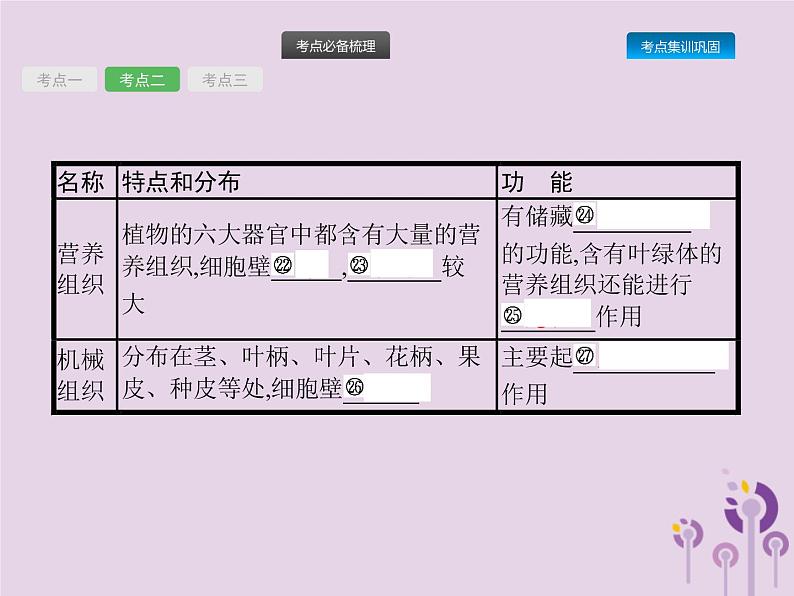 初中生物中考复习 课标通用中考生物总复习第二单元生物体的结构层次第四讲细胞怎样构成生物体课件第8页