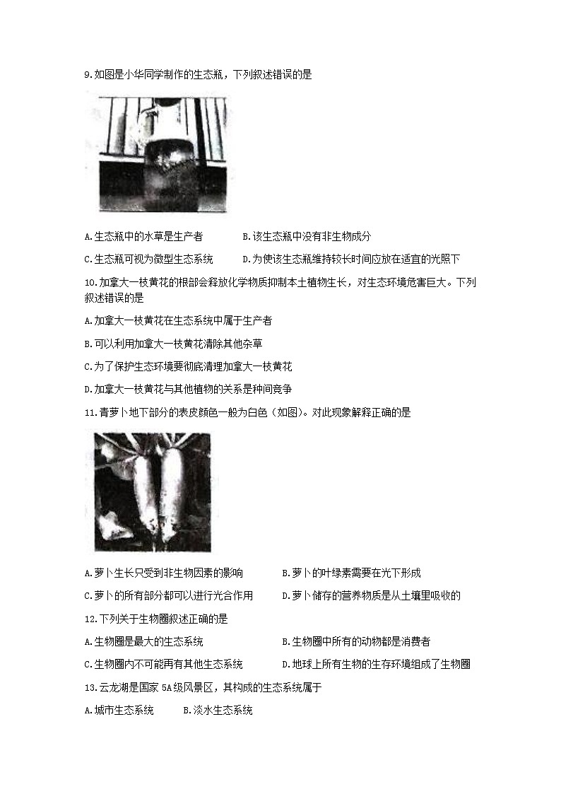 江苏省徐州市2022-2023学年七年级上学期期末生物试题(无答案)03