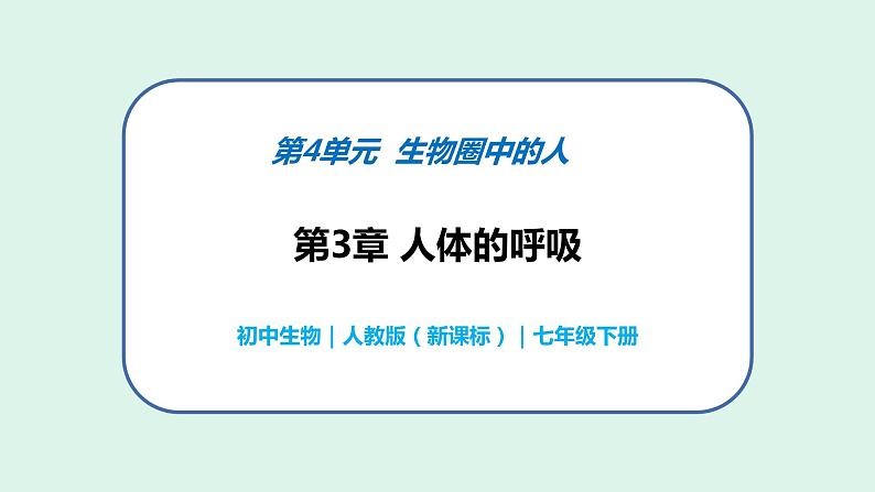 4.3.1 呼吸道对空气的处理-初中生物七年级下册 课件+练习（人教版新课标）01