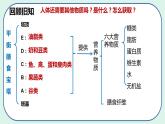 4.3.1 呼吸道对空气的处理-初中生物七年级下册 课件+练习（人教版新课标）