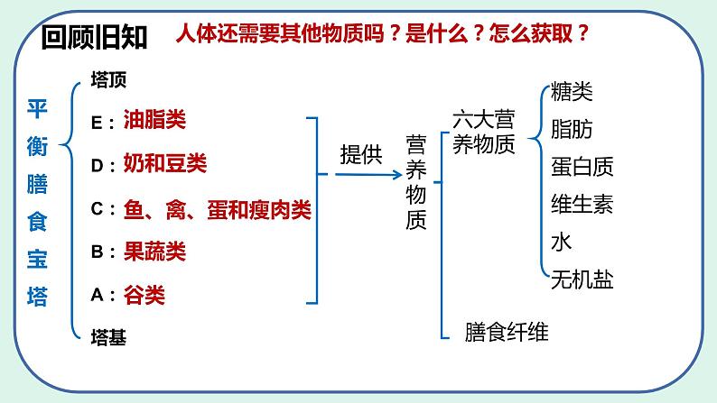 4.3.1 呼吸道对空气的处理-初中生物七年级下册 课件+练习（人教版新课标）03