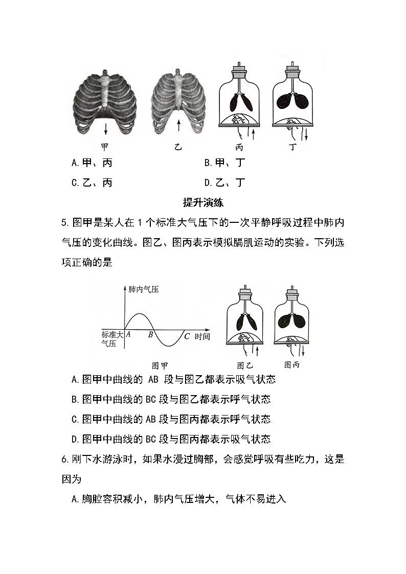4.3.2 发生在肺内的气体交换（第1课时）（同步练习）第2页