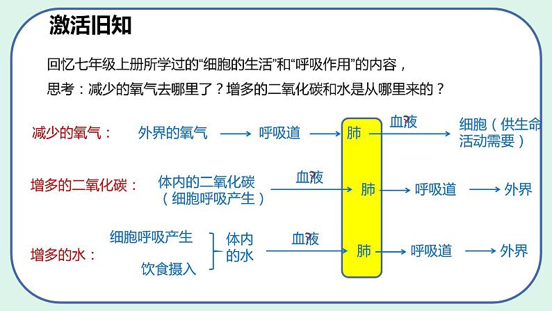 4.3.2 发生在肺内的气体交换（第1课时）-初中生物七年级下册 课件+练习（人教版新课标）06