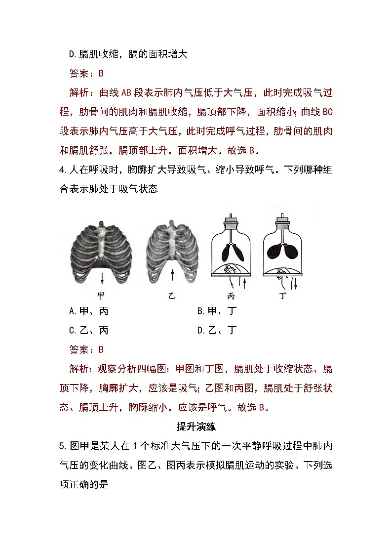 4.3.2 发生在肺内的气体交换（第1课时）（同步练习）（含答案解析）第2页