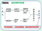 4.3.2 发生在肺内的气体交换（第2课时）-初中生物七年级下册 课件+练习（人教版新课标）