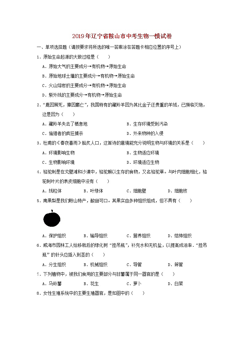 初中生物中考复习 辽宁省鞍山市2019年中考生物一模试卷第1页