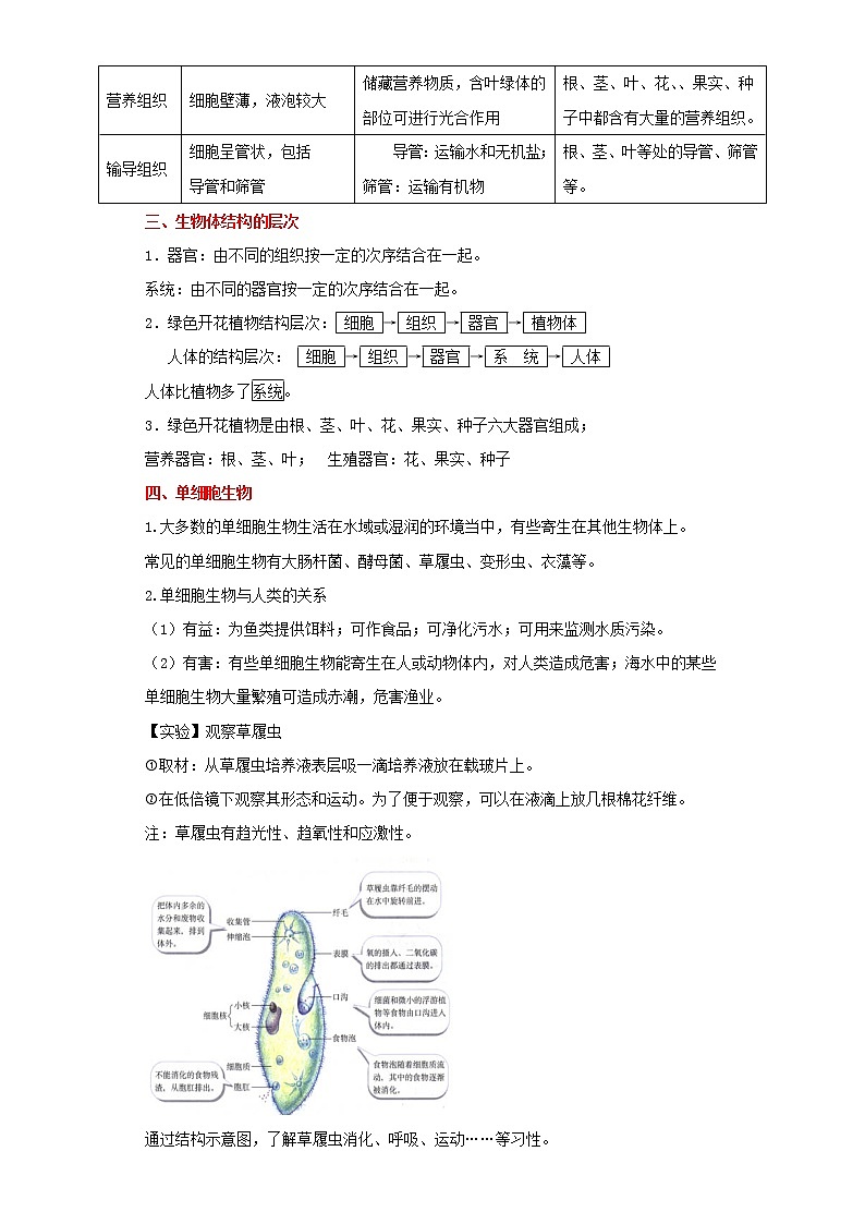 备战2023生物新中考二轮复习重难突破（广东专用）重难点02 生物体的结构层次（解析版）第2页