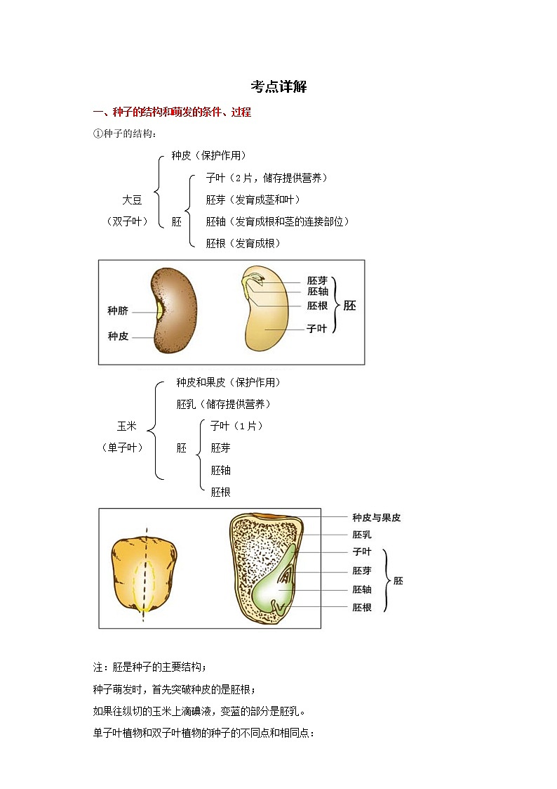 备战2023生物新中考二轮复习重难突破（广东专用）重难点03 绿色开花植物的一生 试卷01