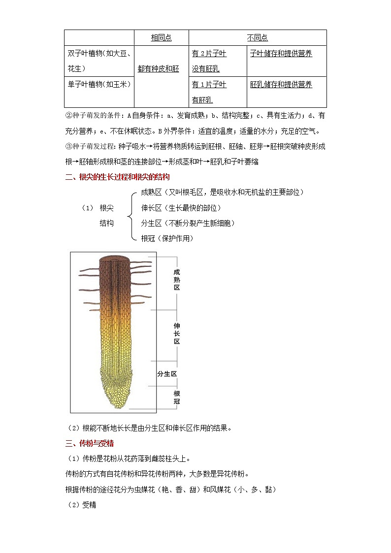 备战2023生物新中考二轮复习重难突破（广东专用）重难点03 绿色开花植物的一生 试卷02