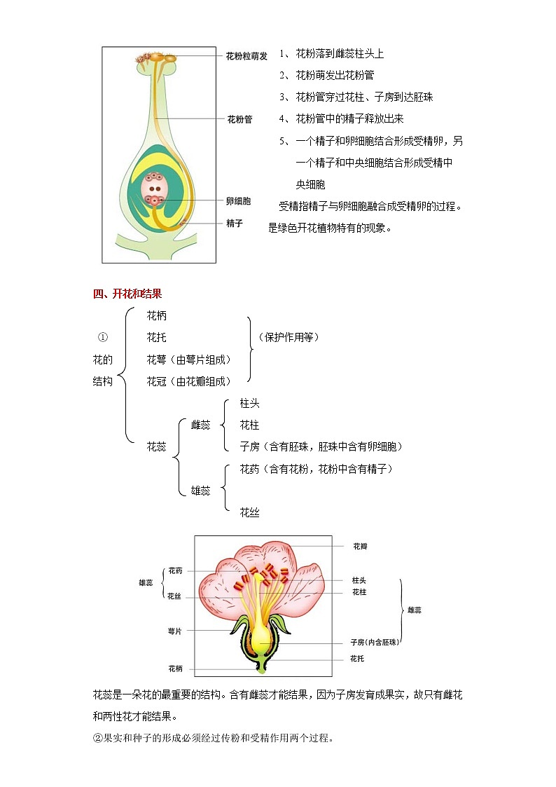 备战2023生物新中考二轮复习重难突破（广东专用）重难点03 绿色开花植物的一生 试卷03