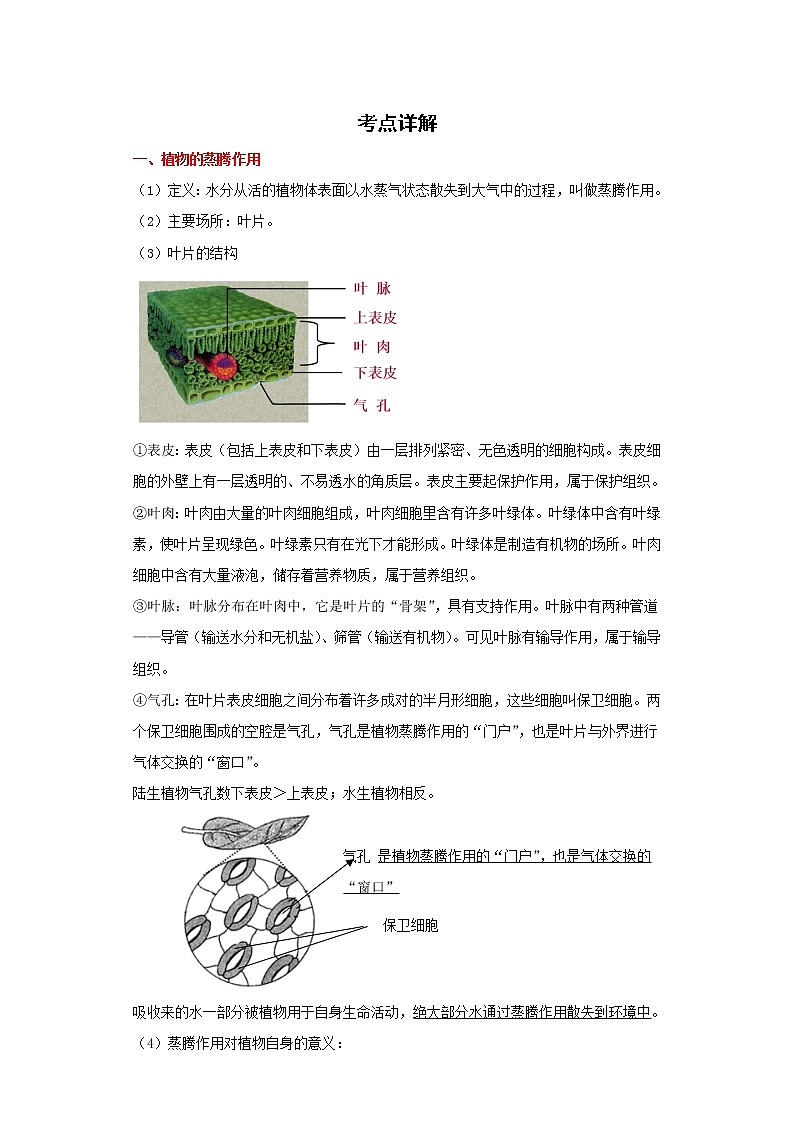 备战2023生物新中考二轮复习重难突破（广东专用）重难点04 绿色植物的蒸腾作用、光合作用和呼吸作用（解析版）第1页