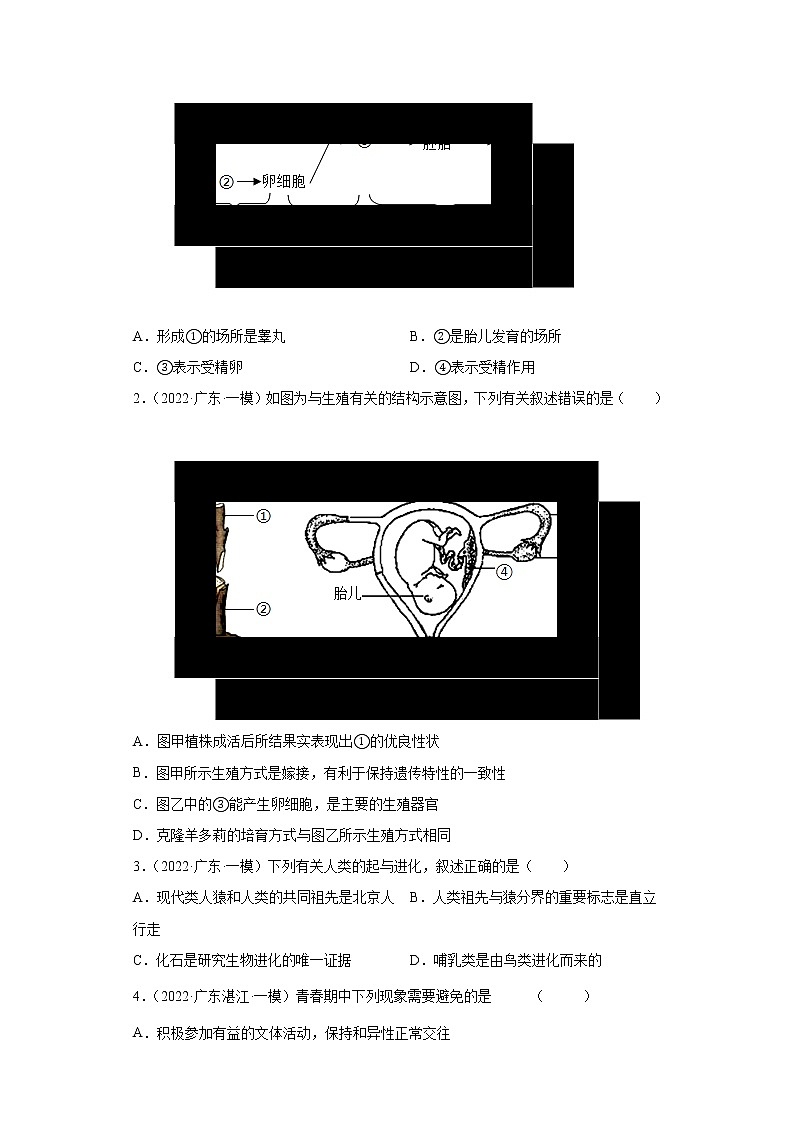 备战2023生物新中考二轮复习重难突破（广东专用）重难点05 人的由来 试卷03