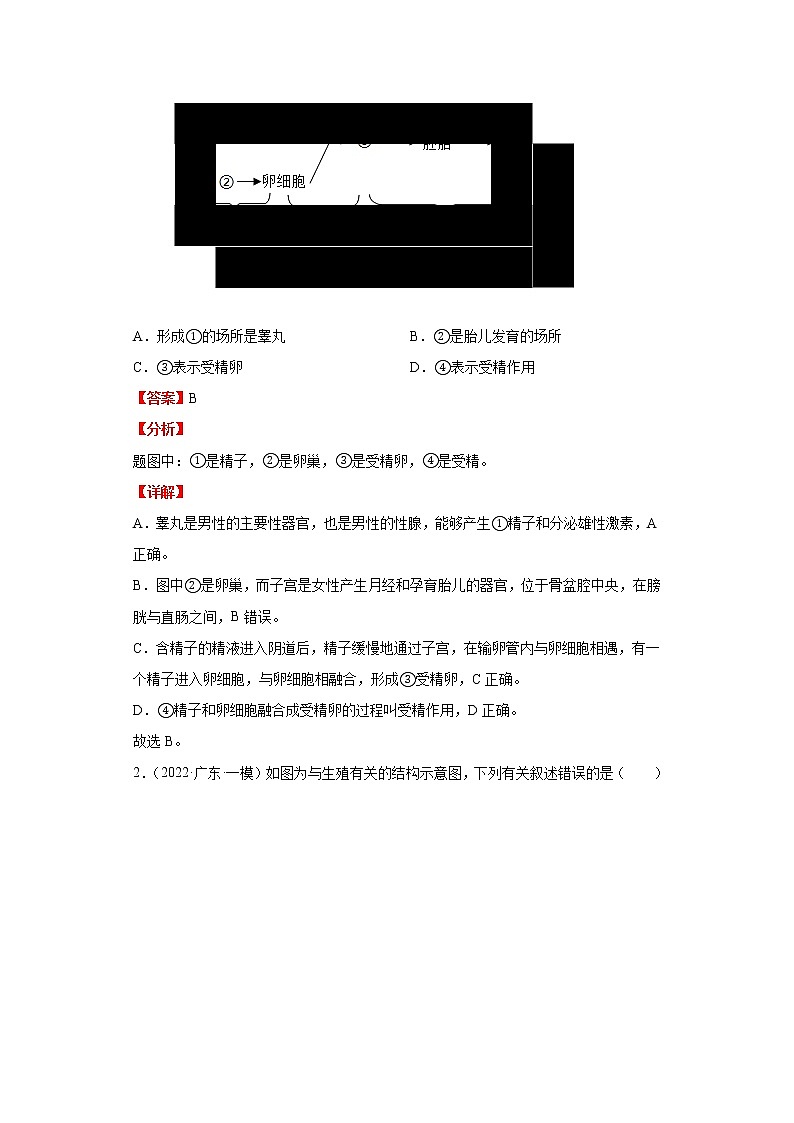 备战2023生物新中考二轮复习重难突破（广东专用）重难点05 人的由来 试卷03