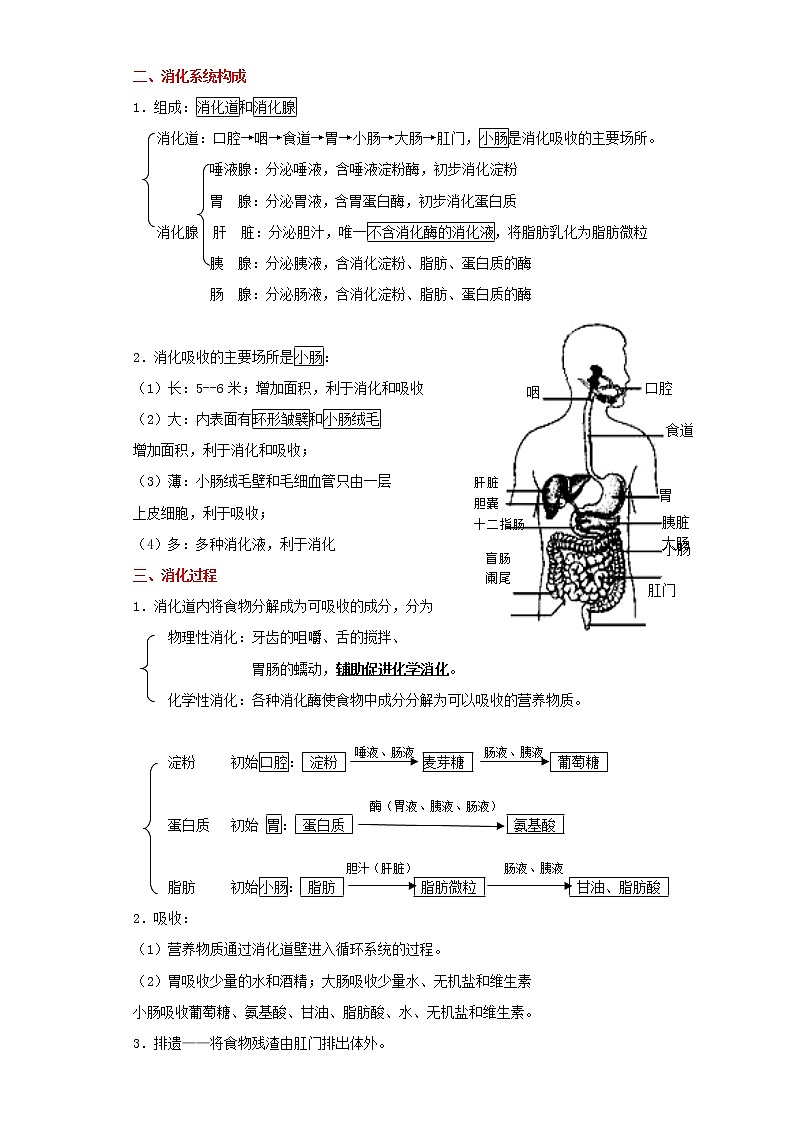 备战2023生物新中考二轮复习重难突破（广东专用）重难点06 人体的营养 试卷02