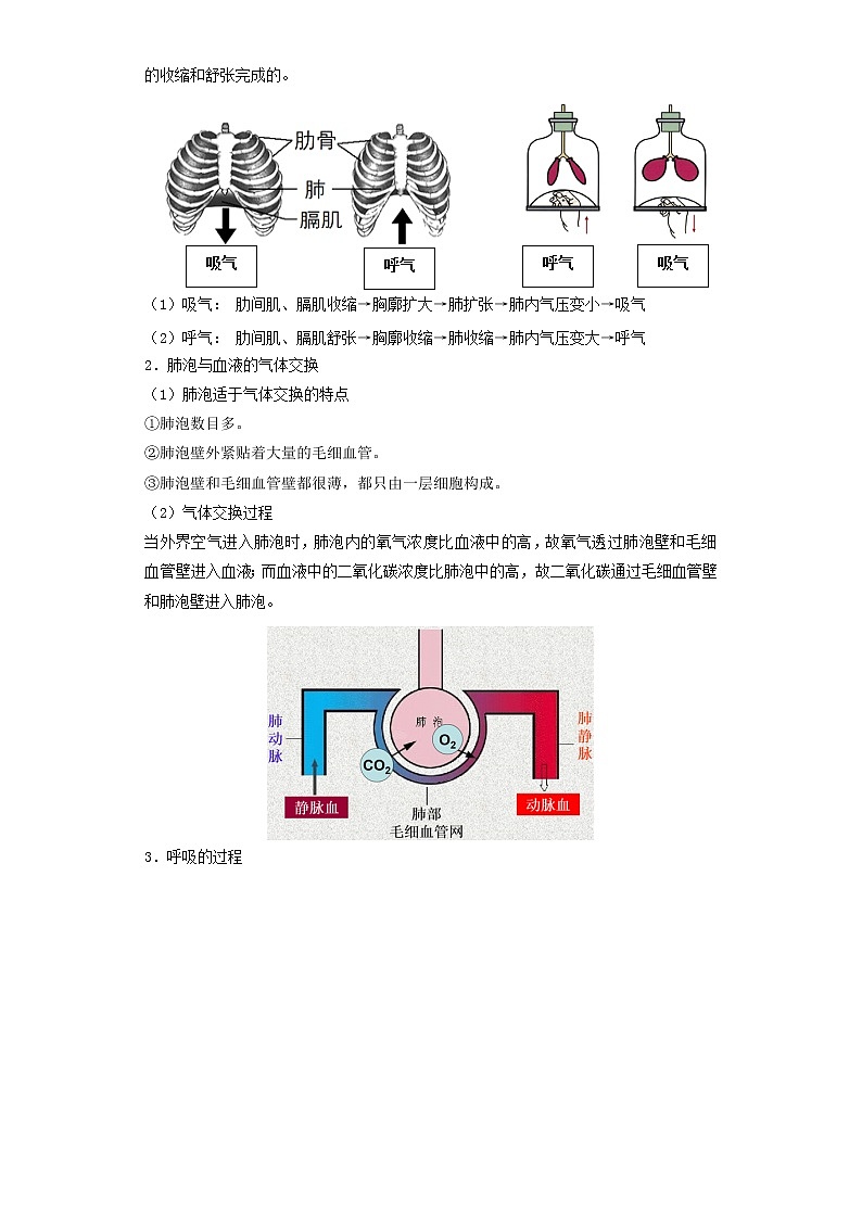 备战2023生物新中考二轮复习重难突破（广东专用）重难点07 人体的呼吸 试卷02