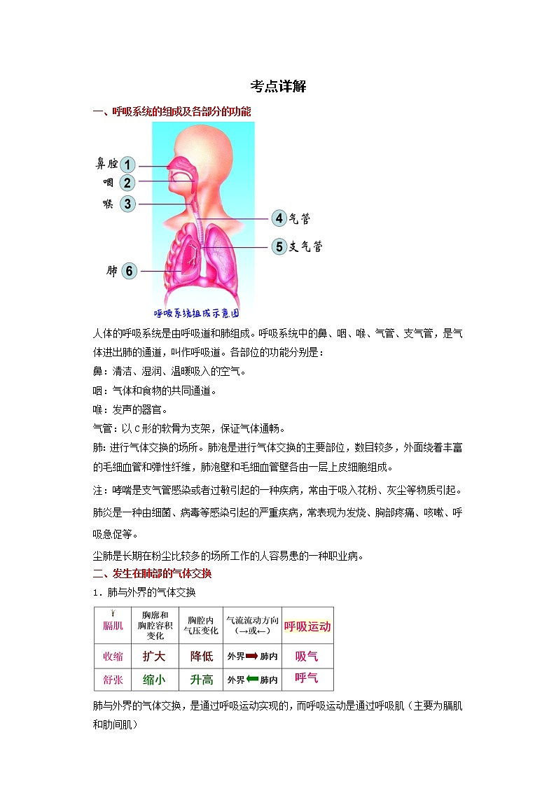 备战2023生物新中考二轮复习重难突破（广东专用）重难点07 人体的呼吸 试卷01