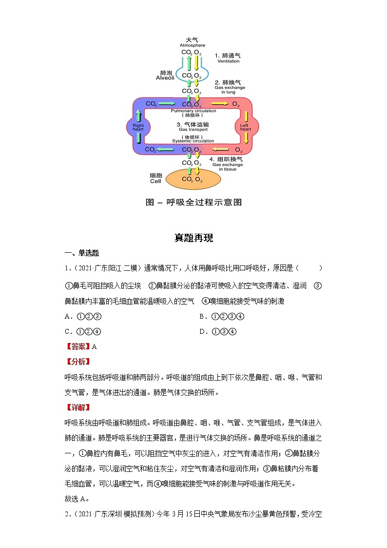 备战2023生物新中考二轮复习重难突破（广东专用）重难点07 人体的呼吸 试卷03