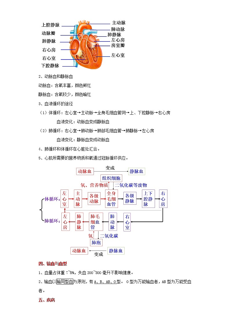 备战2023生物新中考二轮复习重难突破（广东专用）重难点08 血液、血管、心脏 试卷02