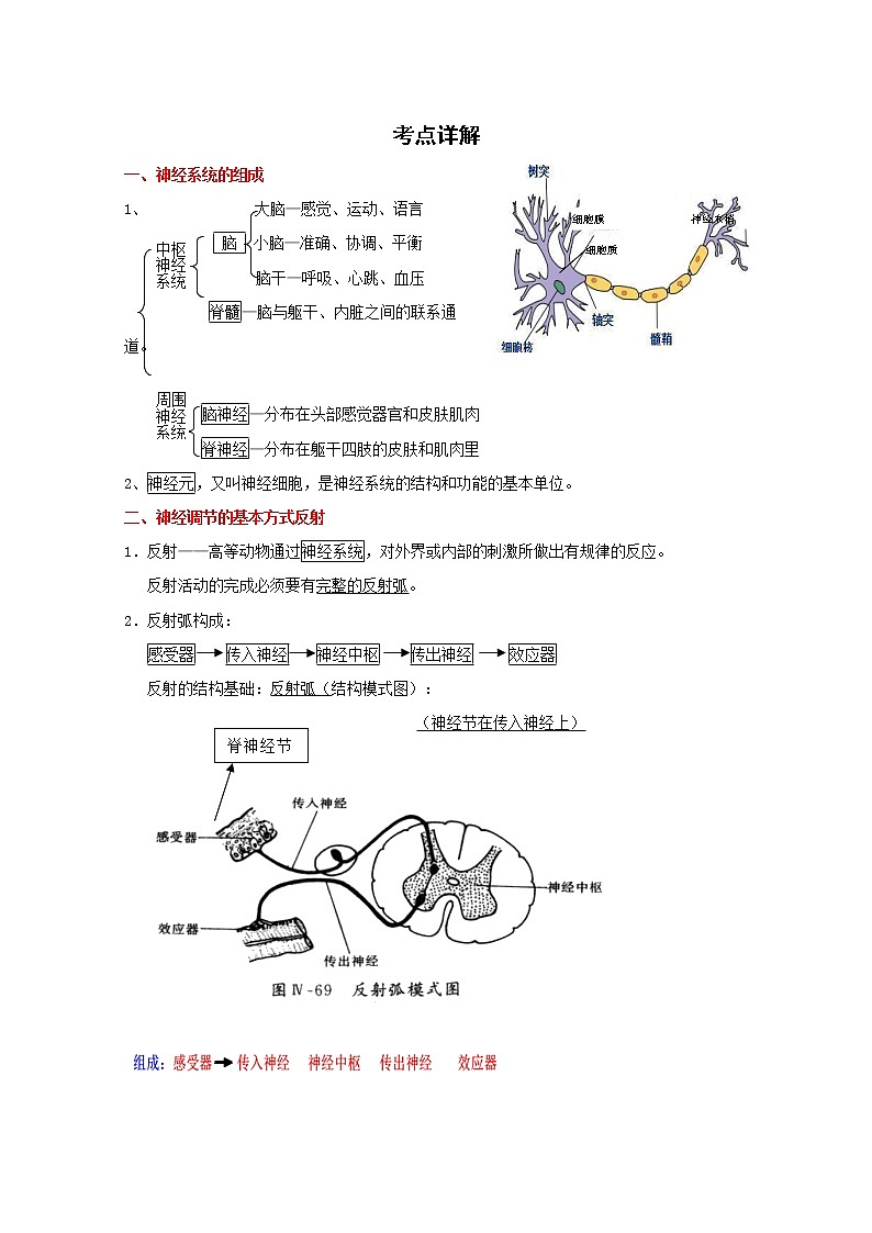 备战2023生物新中考二轮复习重难突破（广东专用）重难点09 人体生命活动的调节 试卷01
