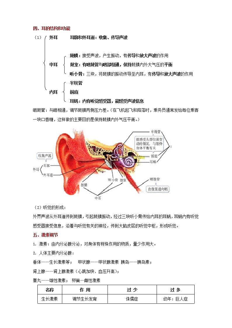 备战2023生物新中考二轮复习重难突破（广东专用）重难点09 人体生命活动的调节 试卷03