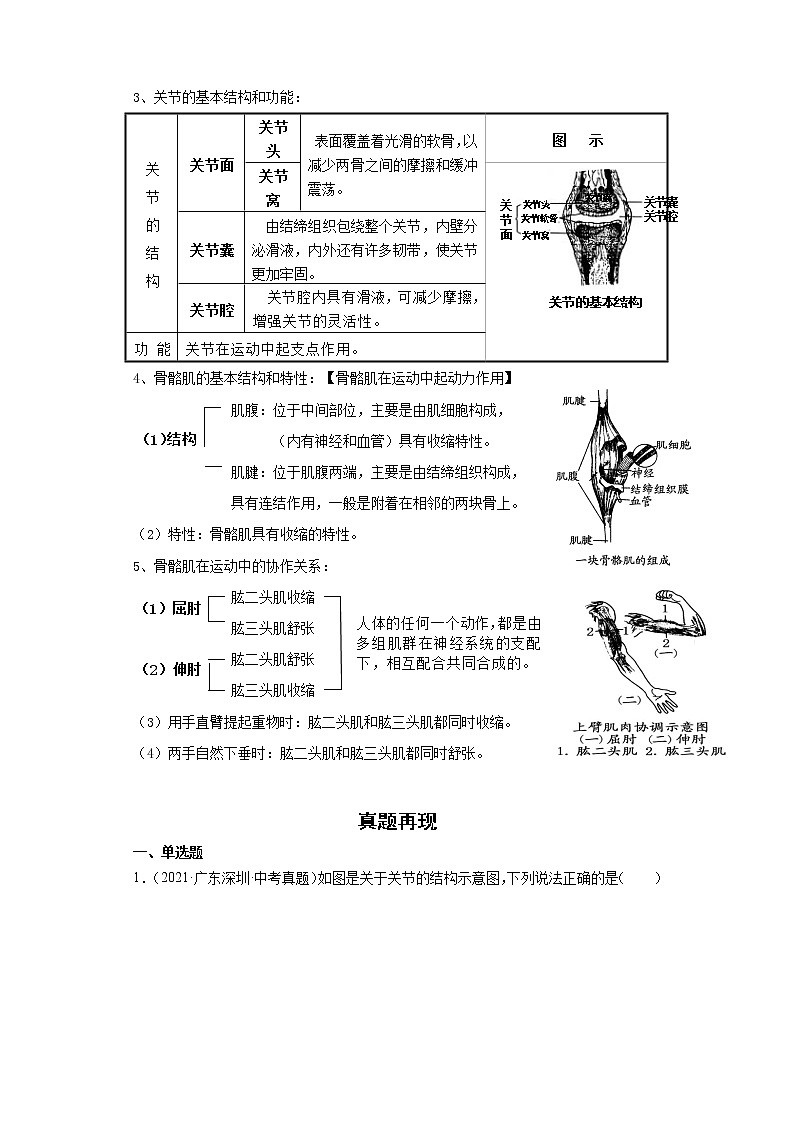备战2023生物新中考二轮复习重难突破（广东专用）重难点11 动物的运动和行为 试卷03