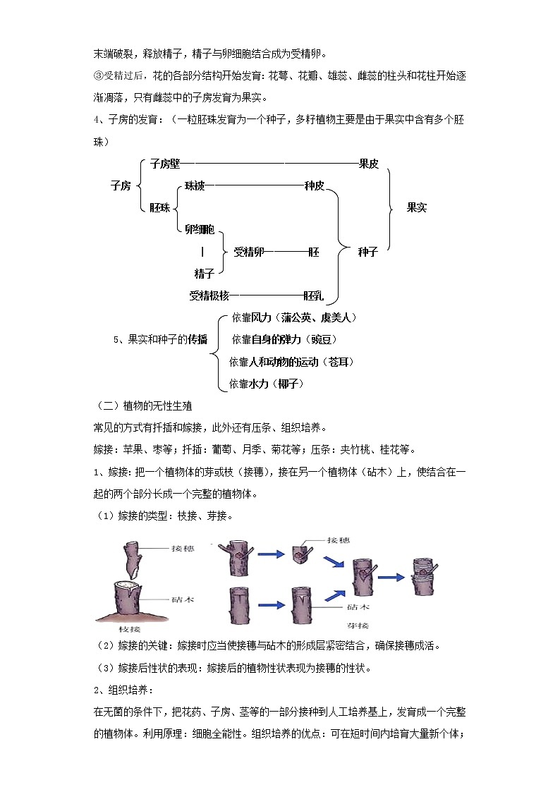 备战2023生物新中考二轮复习重难突破（广东专用）重难点13 生物的生殖和发育（解析版）第2页
