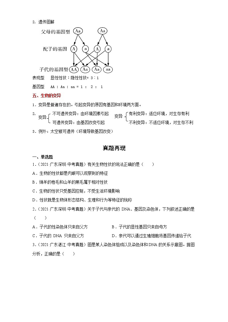 备战2023生物新中考二轮复习重难突破（广东专用）重难点14 生物的遗传和变异（原卷版）第3页