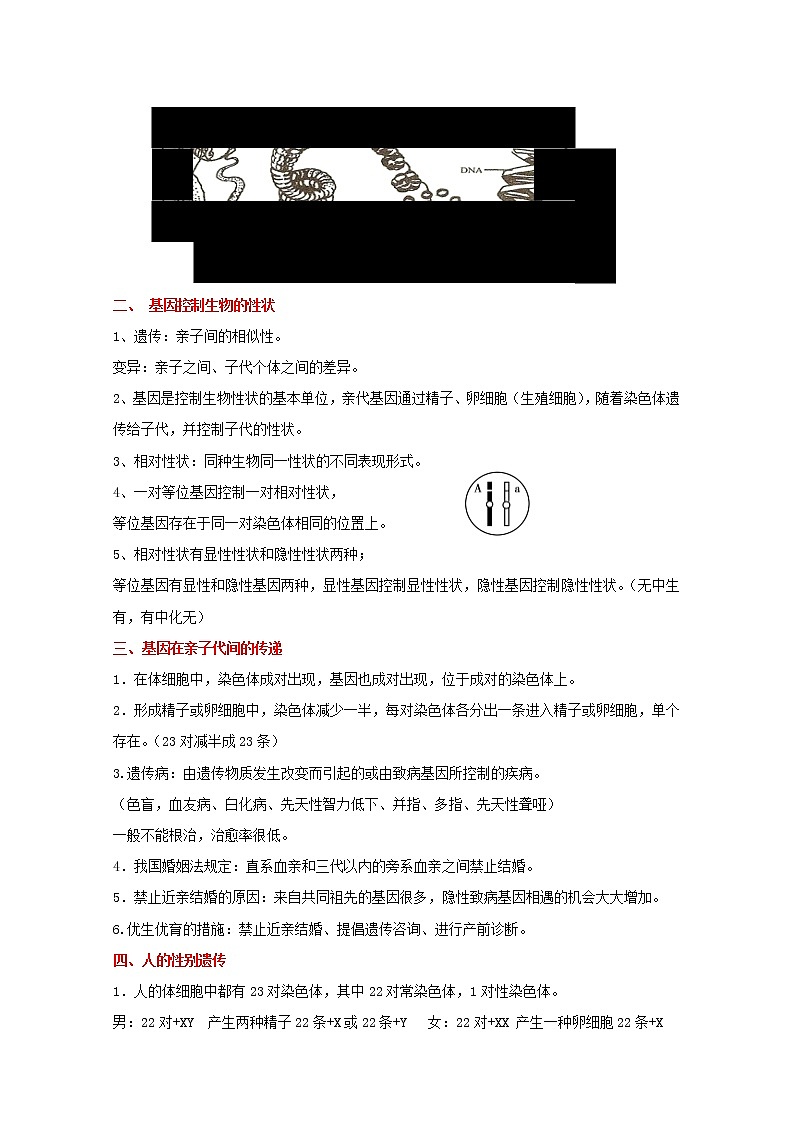 备战2023生物新中考二轮复习重难突破（广东专用）重难点14 生物的遗传和变异（解析版）第2页