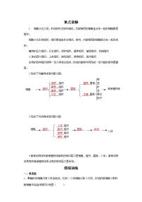 备战2023生物新中考二轮复习重难突破（山东专用）专题02 生物体的结构层次