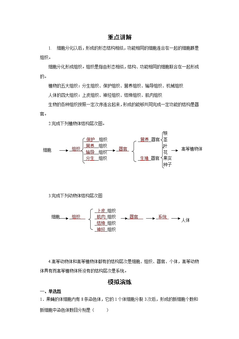 备战2023生物新中考二轮复习重难突破（山东专用）专题02 生物体的结构层次（原卷版）第1页