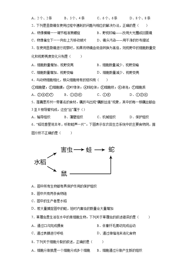 备战2023生物新中考二轮复习重难突破（山东专用）专题02 生物体的结构层次（原卷版）第2页