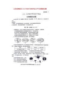 初中生物中考复习 山东省肥城市2019年初中生物学业水平考试模拟试题（扫描版）