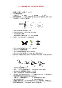 初中生物中考复习 山东省滨州市2019年中考生物一模试卷（含解析）