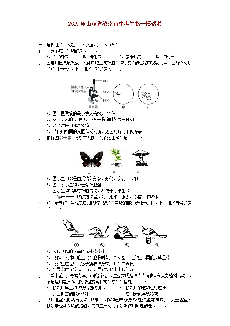 初中生物中考复习 山东省滨州市2019年中考生物一模试卷（含解析）第1页