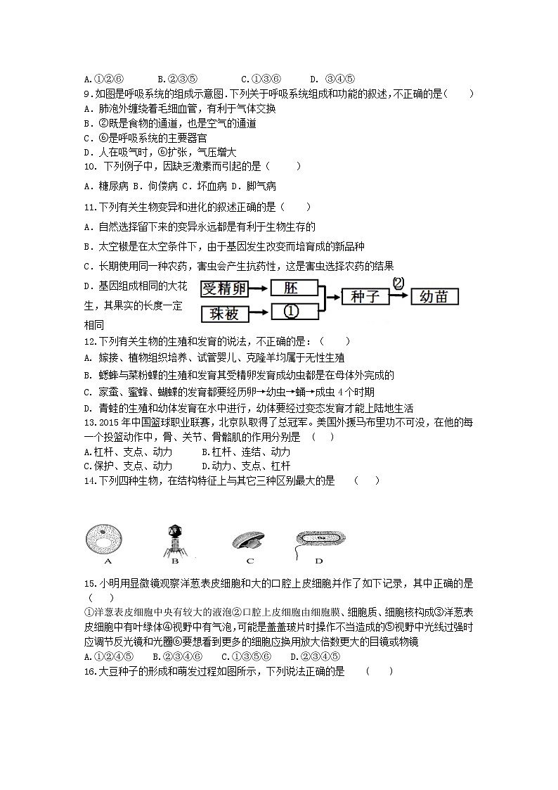 初中生物中考复习 山东省德州市2019年初中生物学业水平考试模拟题02