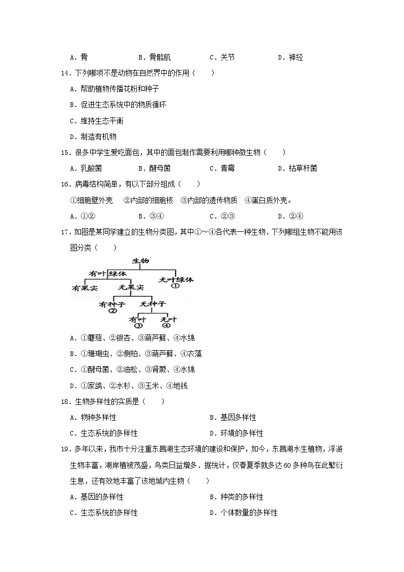 初中生物中考复习 山东省聊城市临清市2019年中考生物一模试卷第3页
