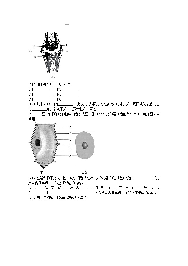初中生物中考复习 山东省临朐县2019年初中生物学业水平考试模拟题 (1)02