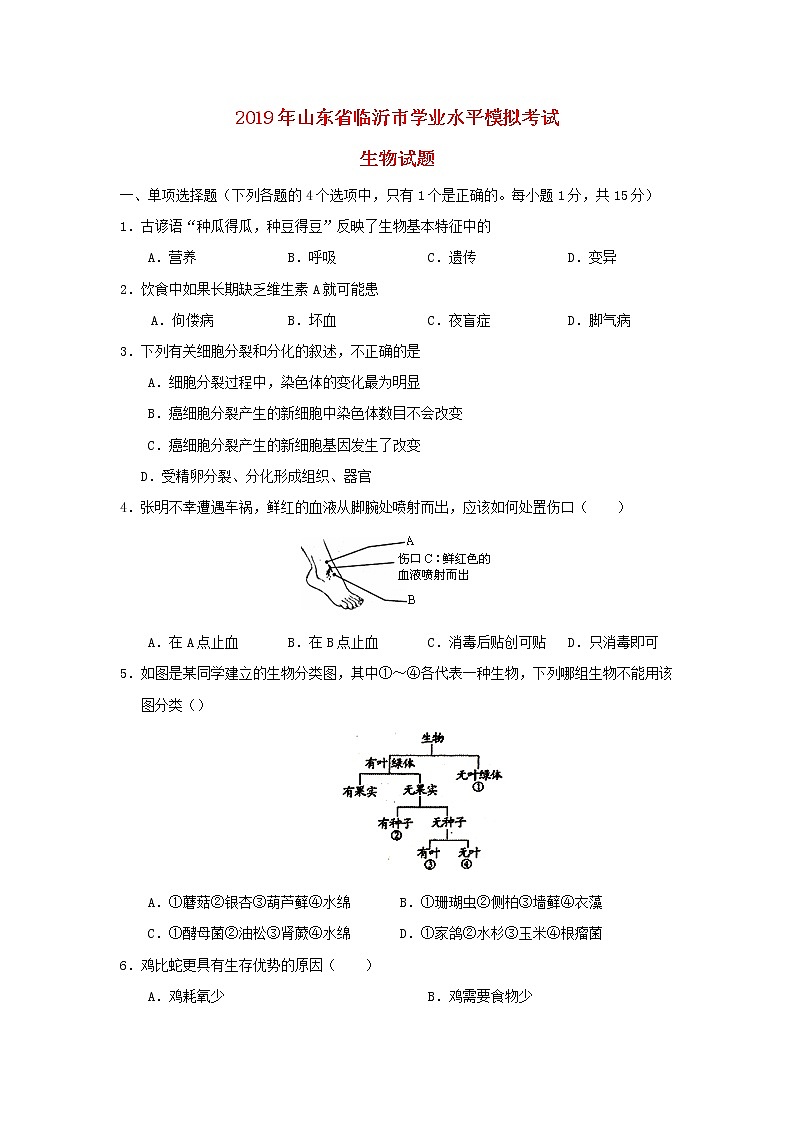 初中生物中考复习 山东省临沂市2019年初中生物学业水平模拟考试01