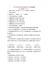 初中生物中考复习 山东省龙口市2019年初中生物学业水平考试模拟题