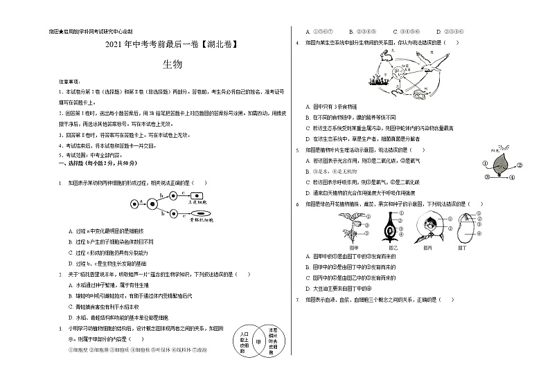 初中生物中考复习 生物-（湖北卷）【试题猜想】2021年中考考前最后一卷（考试版）第1页
