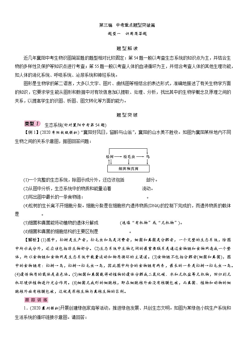 初中生物中考复习 题型1　识图简答题 讲义 2021年中考生物突破复习第1页